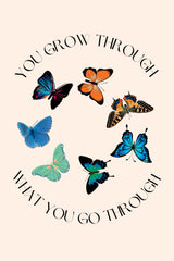 Butterfly Print Poster och Canvastavla