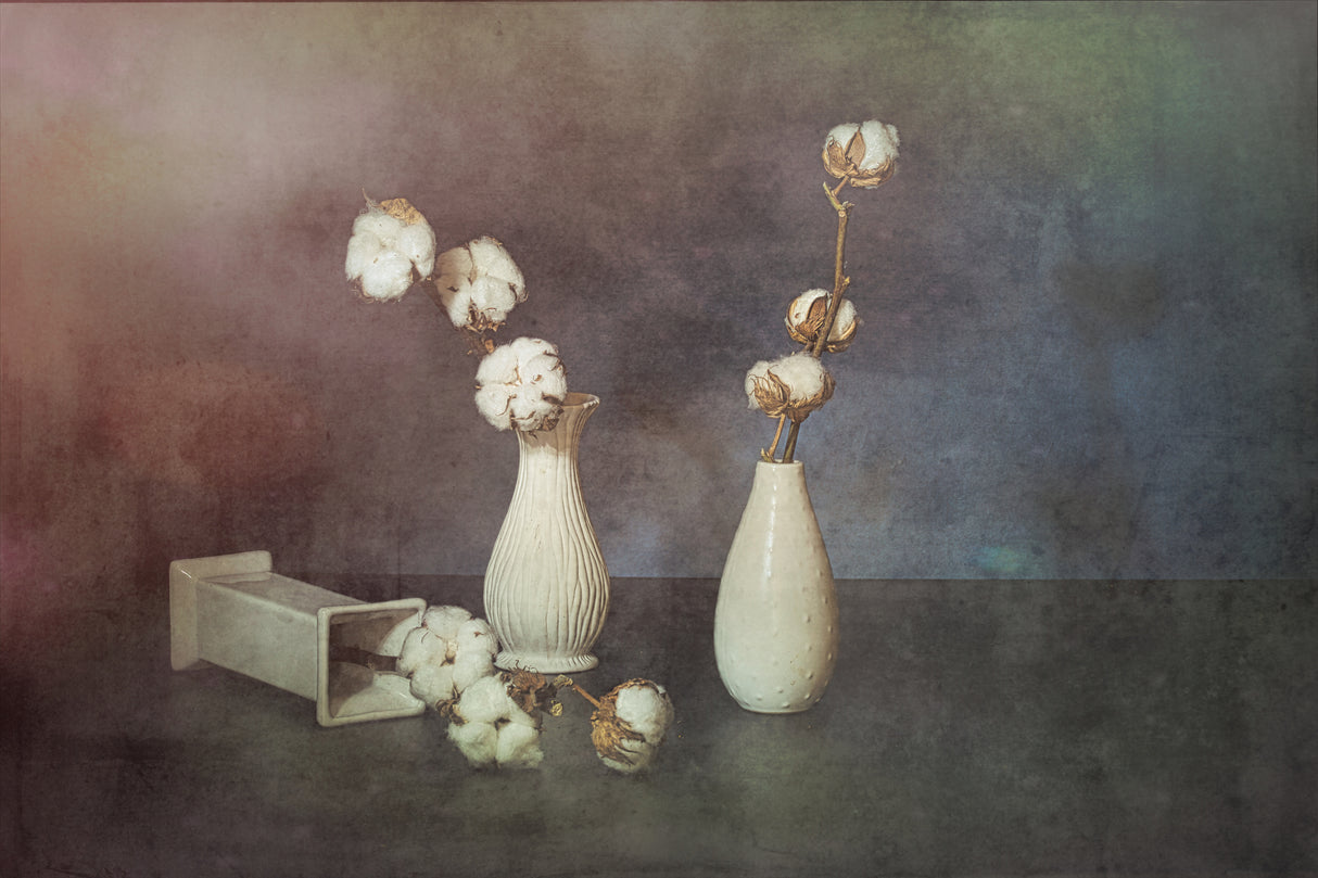 The smell of cotton. Poster och Canvastavla