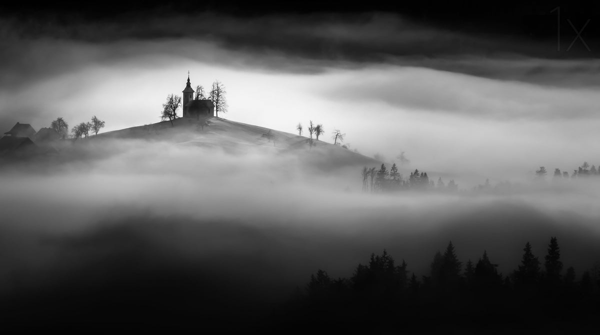 Above the mist Poster och Canvastavla
