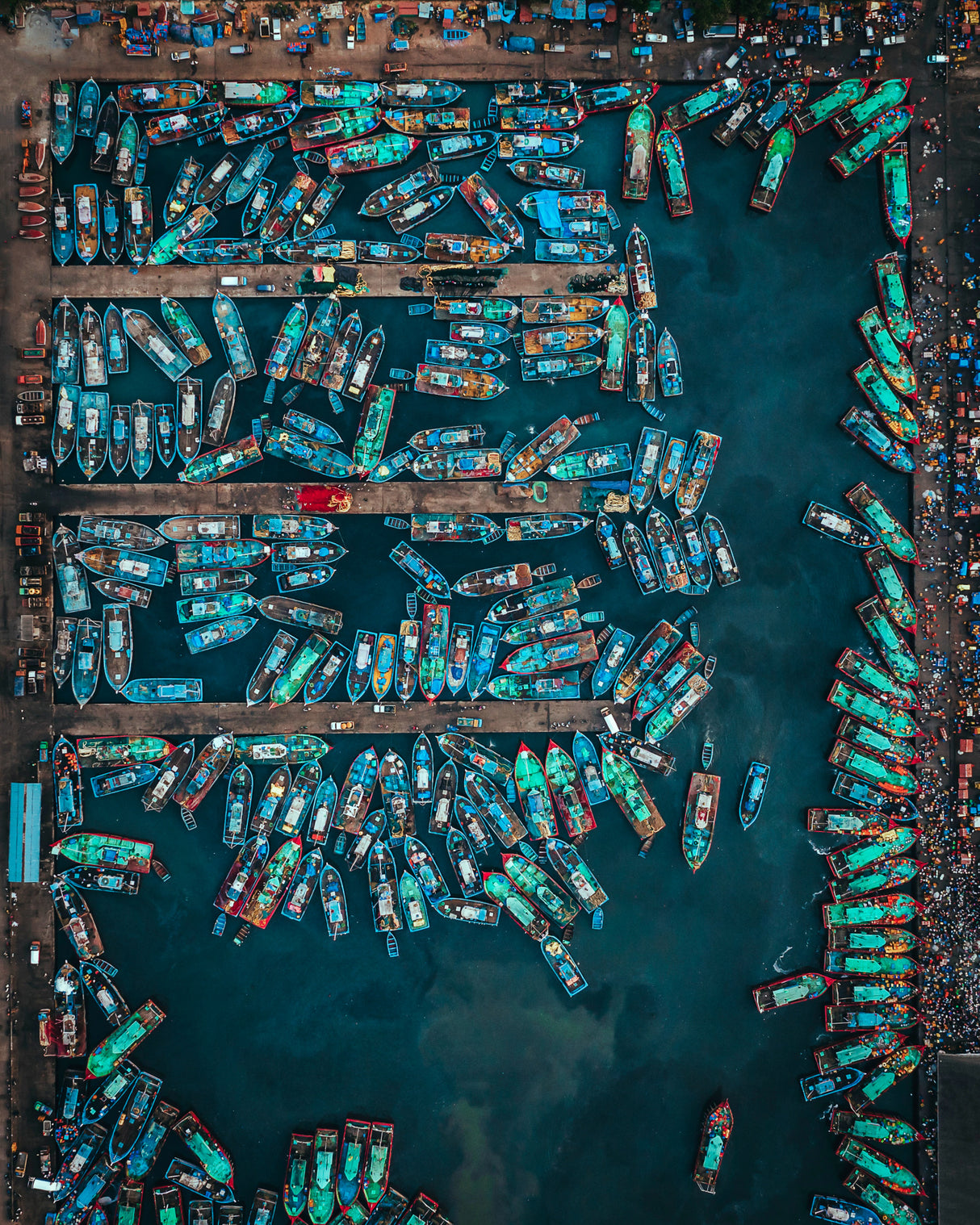 Traffic Jam at Malpe Fishing Harbour Poster och Canvastavla