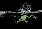 Swimming Poster och Canvastavla