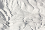 ski tracks Poster och Canvastavla