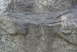 Tex Surface S31 Poster och Canvastavla