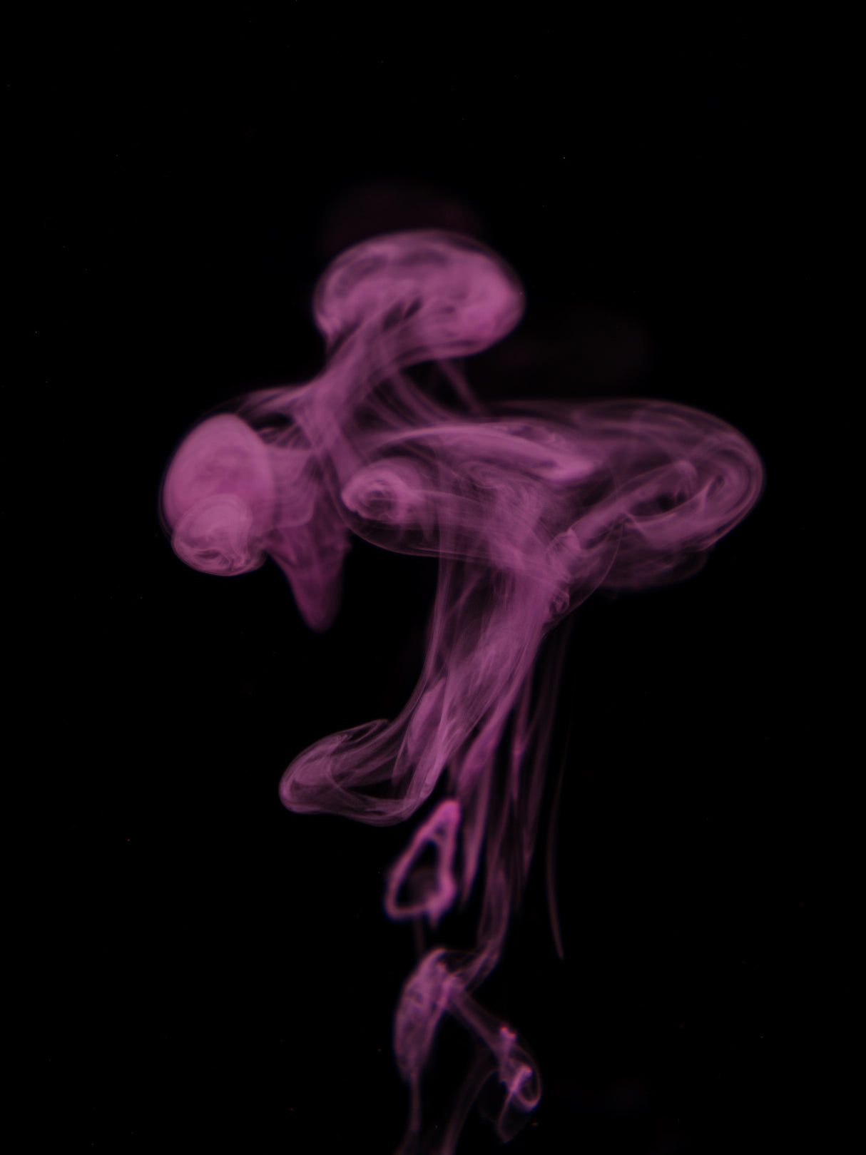 ink in water Poster och Canvastavla