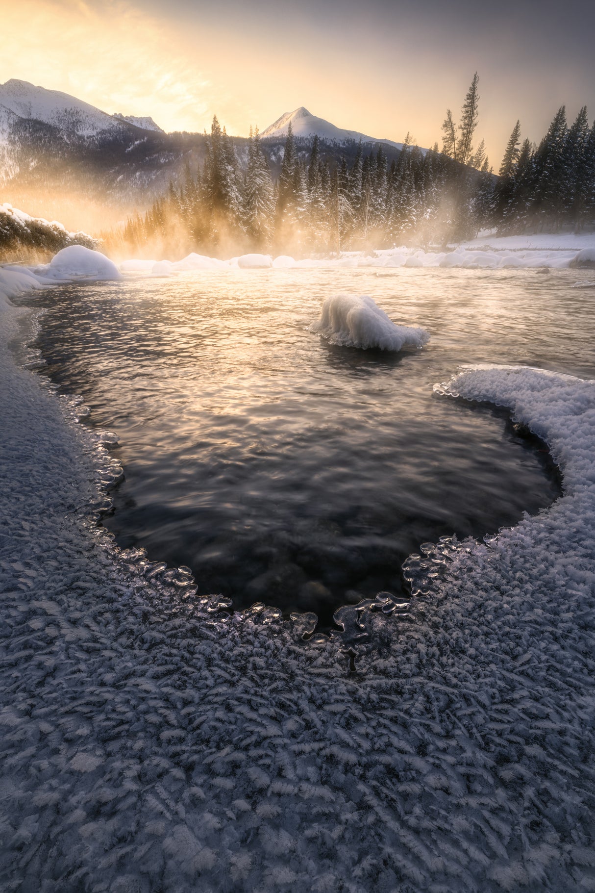 made by nature Poster och Canvastavla