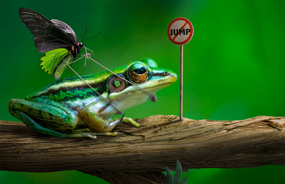 No Jump Poster och Canvastavla