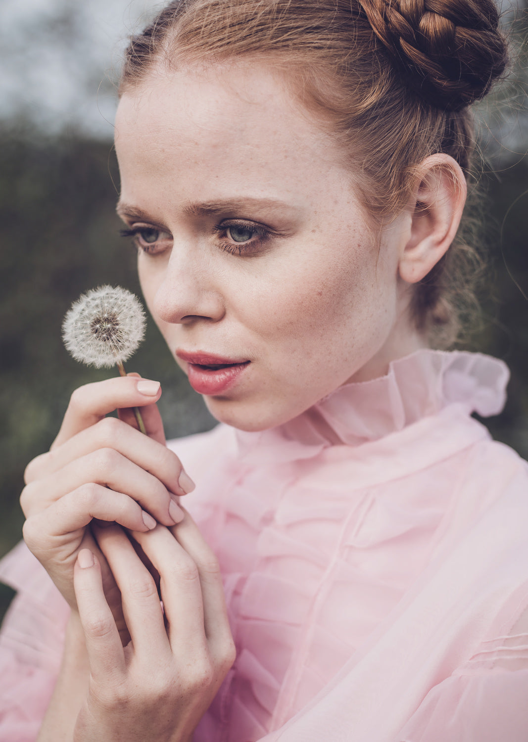 Dandelion Poster och Canvastavla