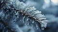 Winter Impressions No 9 Poster och Canvastavla