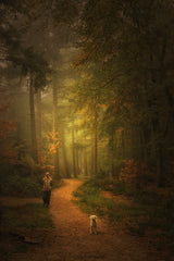 Autumn Dream Poster och Canvastavla