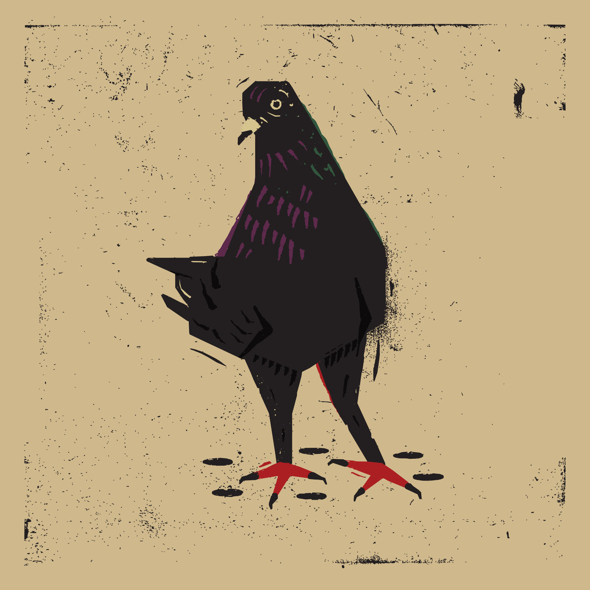 Pigeon Poster och Canvastavla