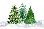 Three watercolor pine trees Poster och Canvastavla
