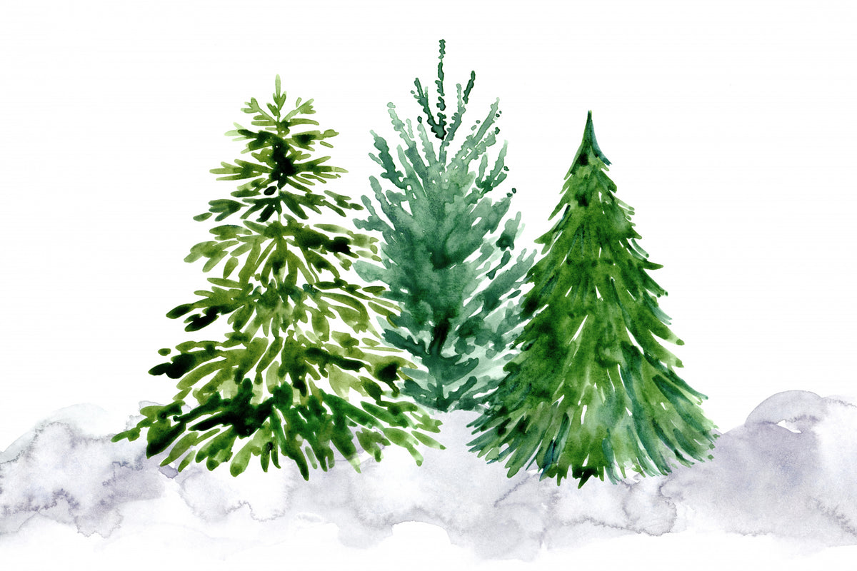 Three watercolor pine trees Poster och Canvastavla