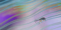 Travel in the rainbow... Poster och Canvastavla