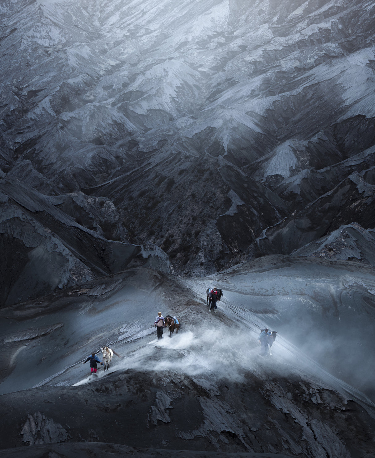 Bromo Men and Horses Poster och Canvastavla