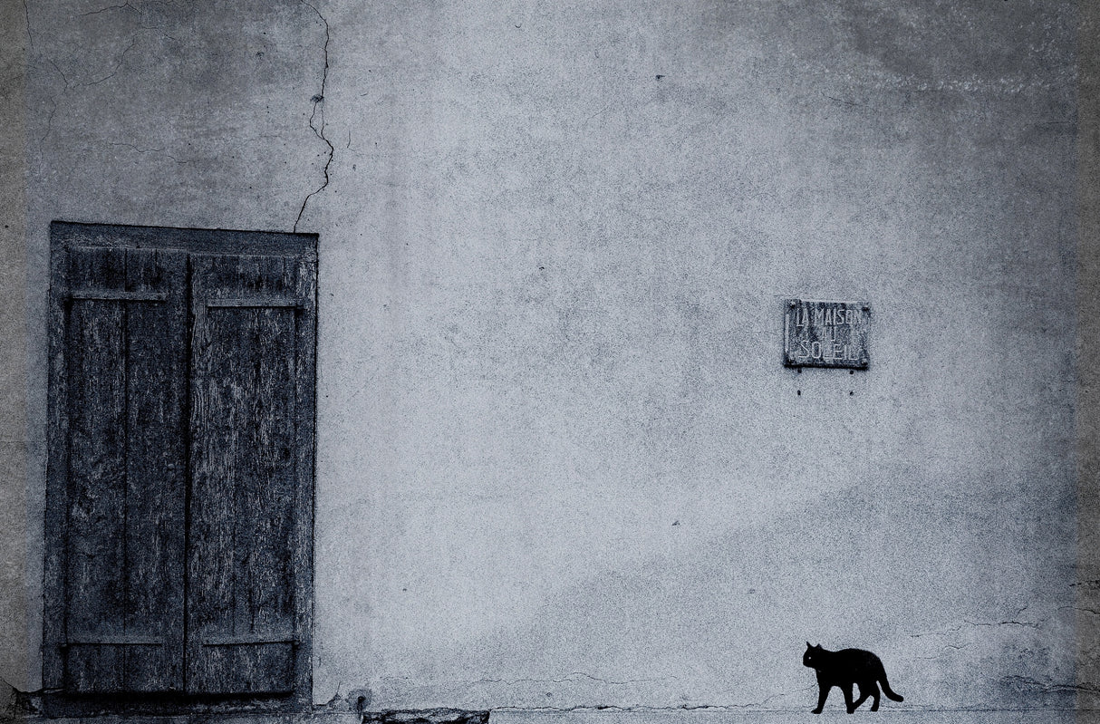 le chat noir Poster och Canvastavla