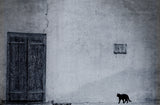 le chat noir Poster och Canvastavla
