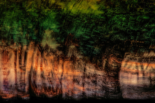 Forest At Sundown Poster och Canvastavla