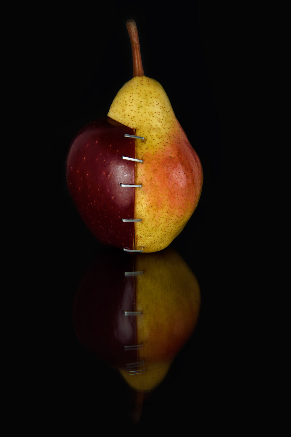 Apple/Pear OGM II Poster och Canvastavla