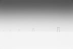 The White World Poster och Canvastavla