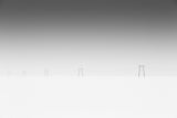 The White World Poster och Canvastavla