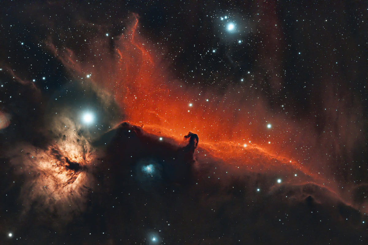 Horsehead amd Flame Nebula Poster och Canvastavla