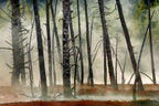 Dead Wood Poster och Canvastavla