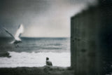 sea, alone... Poster och Canvastavla