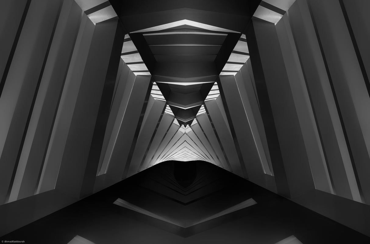 path between shade and light Poster och Canvastavla