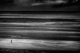 A lonely man on the beach. North France. Poster och Canvastavla