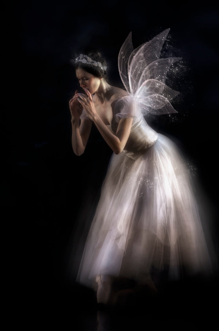 The fairy queen... Poster och Canvastavla
