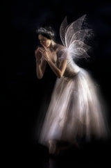 The fairy queen... Poster och Canvastavla