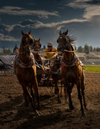 The power and the speed, Chuckwagon racing Poster och Canvastavla