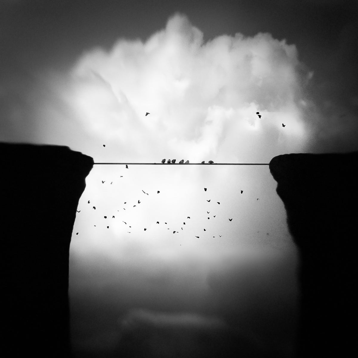 Birds like a break at lofty heights Poster och Canvastavla