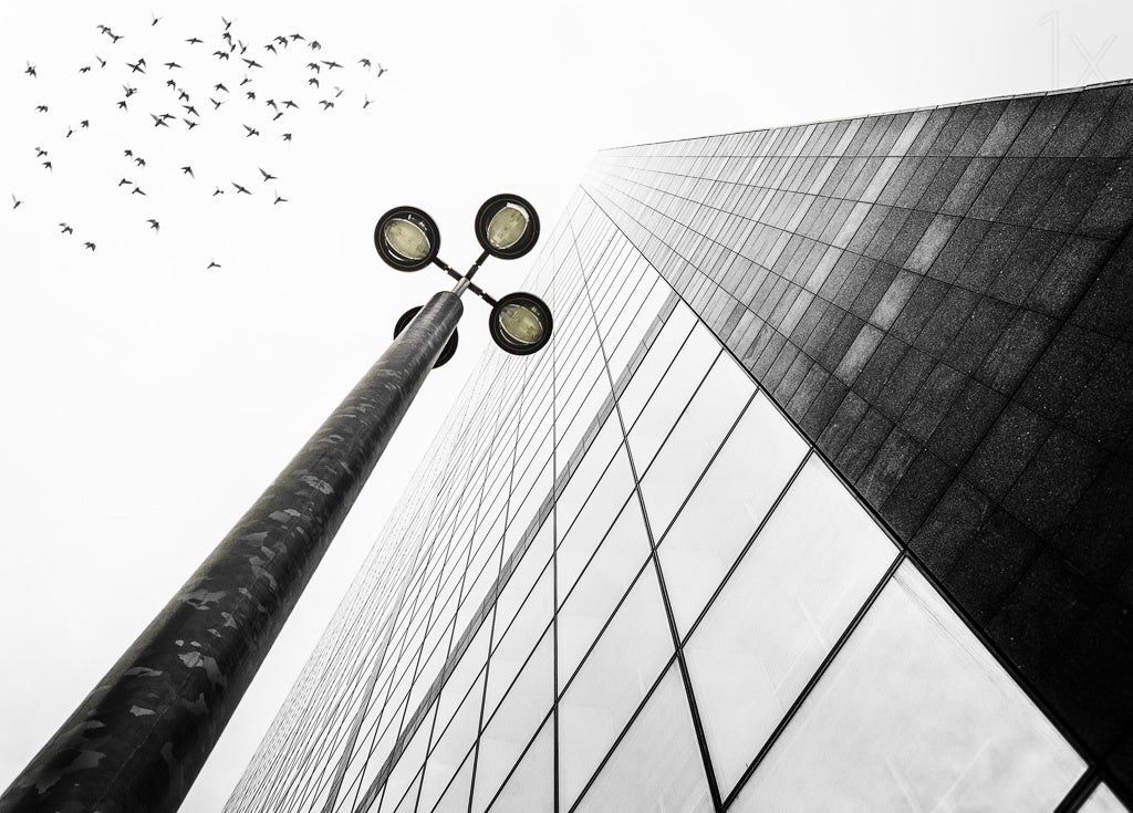 Straight to the sky Poster och Canvastavla
