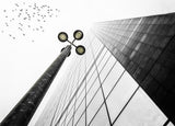 Straight to the sky Poster och Canvastavla