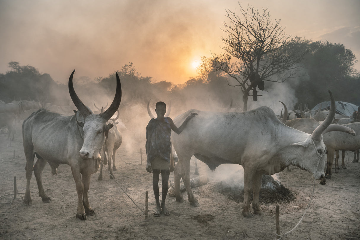 Young Mundari girl in camp Poster och Canvastavla