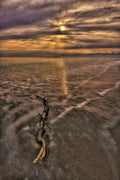 amazing sunset and seascape Poster och Canvastavla