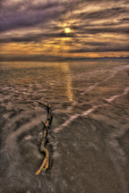 amazing sunset and seascape Poster och Canvastavla