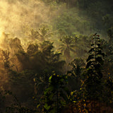 ..... the atmosphere of the morning ..... Poster och Canvastavla