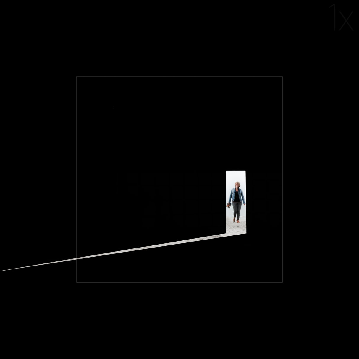 the unknown unknown Poster och Canvastavla