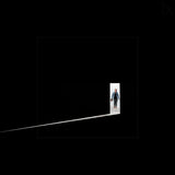 the unknown unknown Poster och Canvastavla
