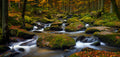 autumn waters Poster och Canvastavla