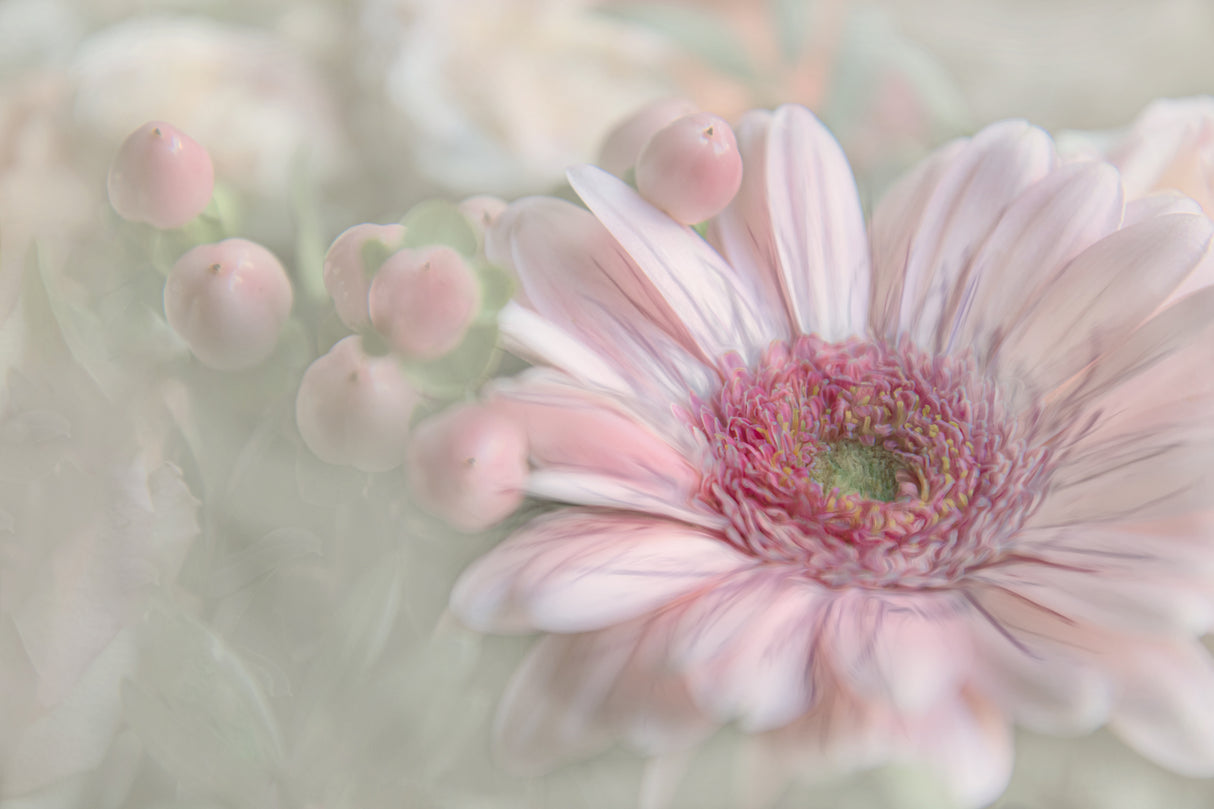 Flowering Happiness Poster och Canvastavla
