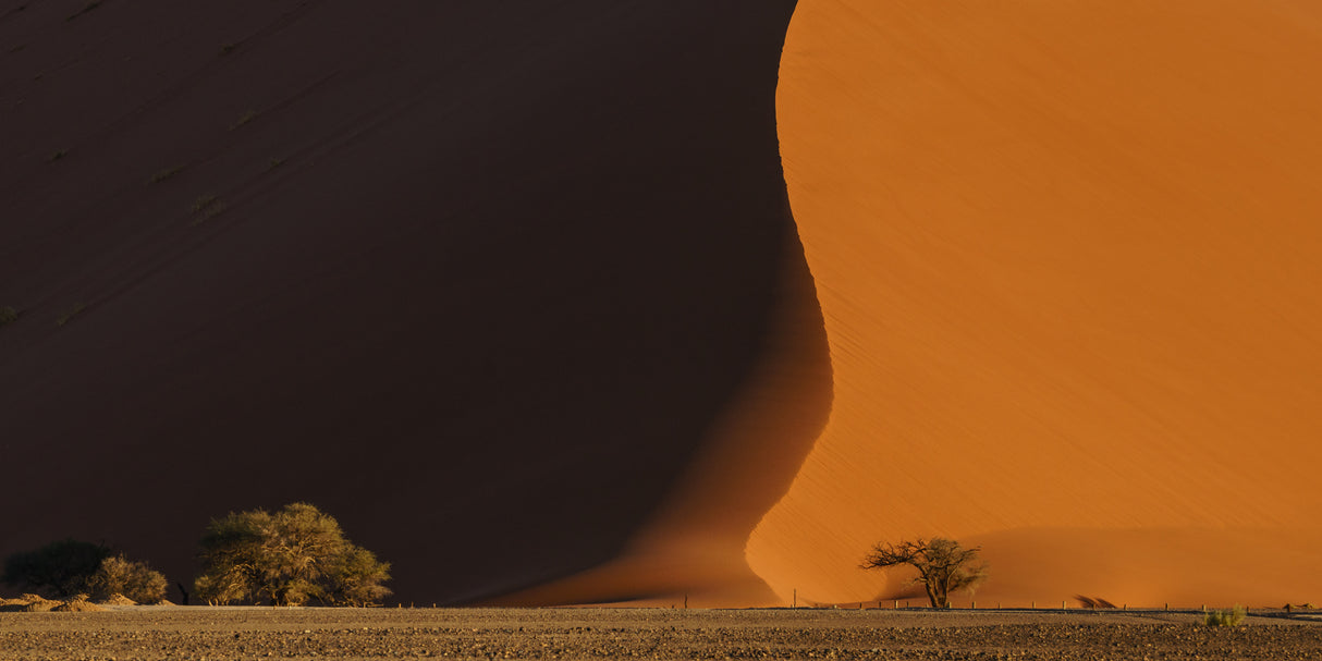 2017.06 - Essence of Sossusvlei Poster och Canvastavla
