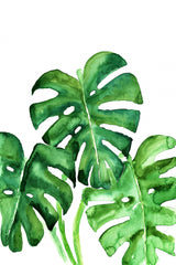 Monstera leaves in loose watercolor Poster och Canvastavla