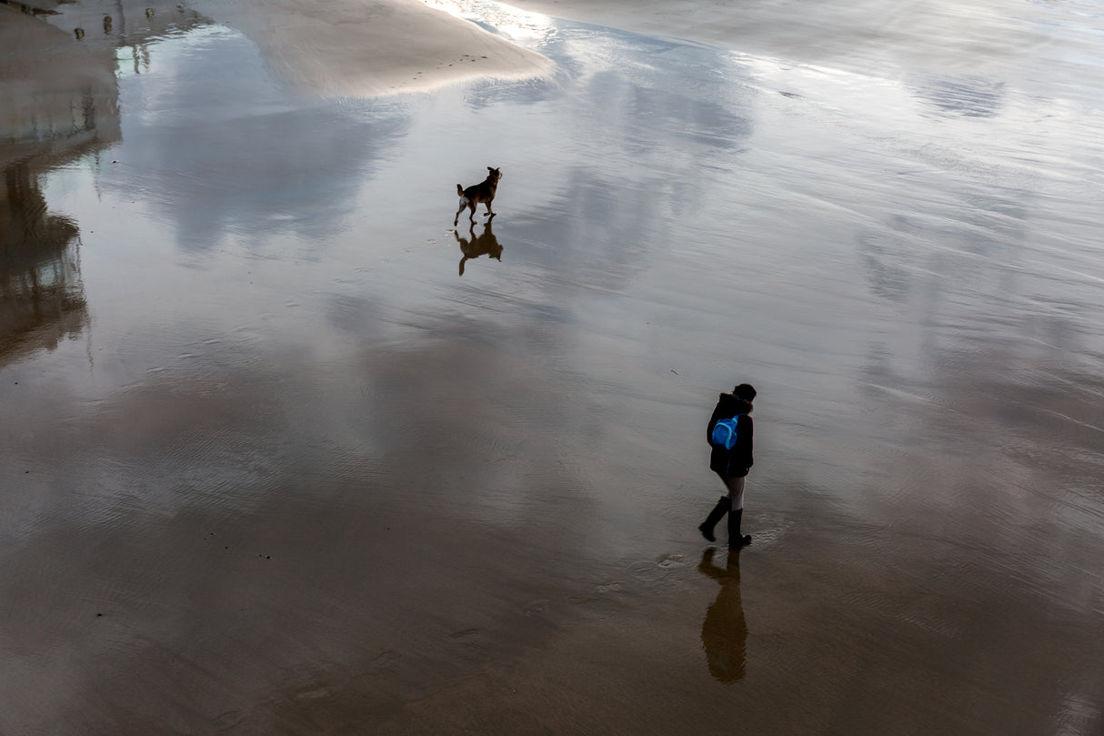 Walking on the water Poster och Canvastavla