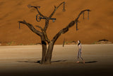 The key of life III Poster och Canvastavla