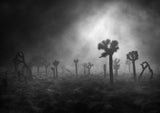 Mysterious forest Poster och Canvastavla