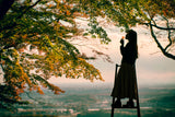 Autumn Leaves Poster och Canvastavla