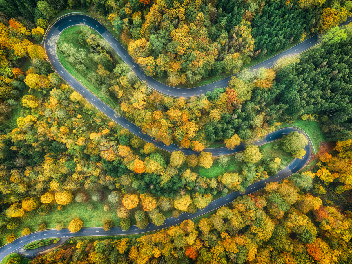 autumn road Poster och Canvastavla